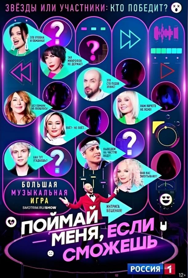 Поймай меня, если сможешь шоу — постер